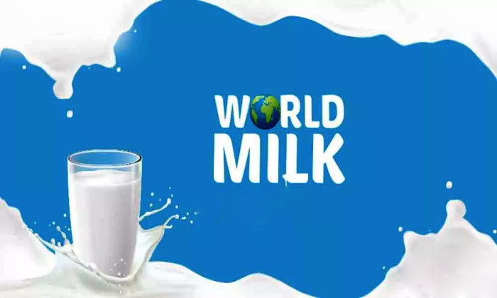 Happy World Milk Day! The burning - Rimus Trading Agency