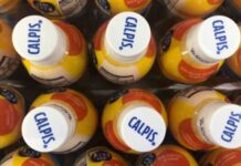 Asahi to launch dairy drinks brand Calpis in India