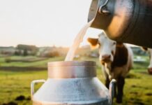 Maharashtra FDA tightens milk safety rules