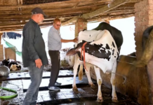 Skill over schooling: How Gujarat’s Deepak Patel rewrote India’s dairy story