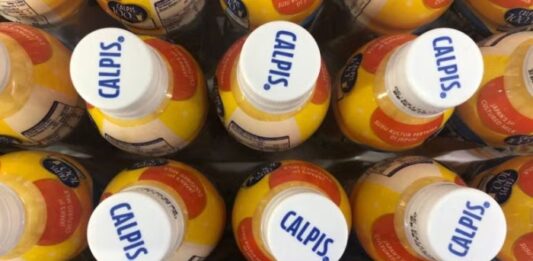 Asahi to launch dairy drinks brand Calpis in India