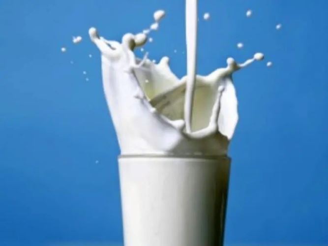 Dairy4127