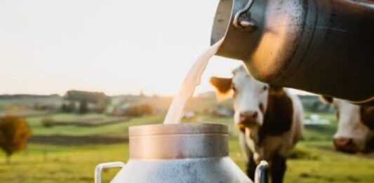 Maharashtra FDA tightens milk safety rules